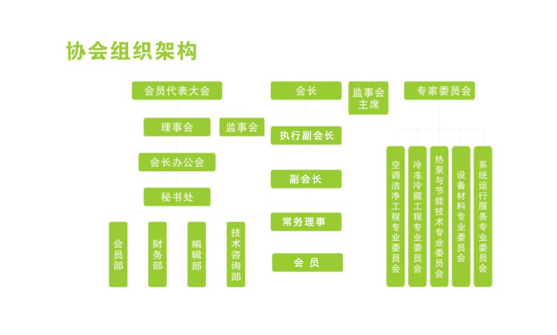 协会组织结构